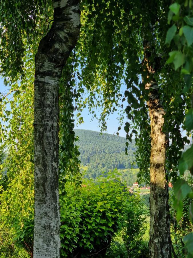 Naszjestwasz Villa Gorki Male  Bagian luar foto